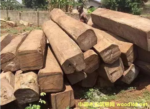 ���ɡ��������ǵġ��ǻ��桱ʵ����Ҳ�Ǵ����̴