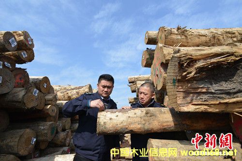 ����������ͷ������������ԭľ�����ֳ�����