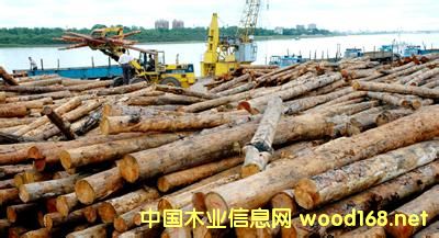 ˹¬λ жæڰĽڷ