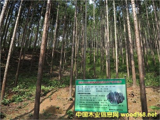 ���������Ȳ��ƽ�ľ��ս�Դ������ؽ���