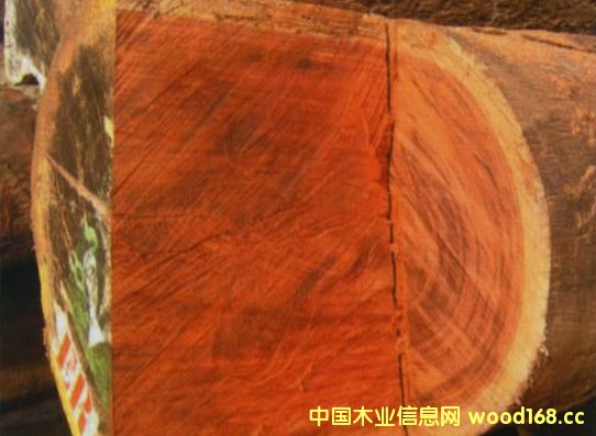 �ͻ����ڳ��������ø��Ӹ���