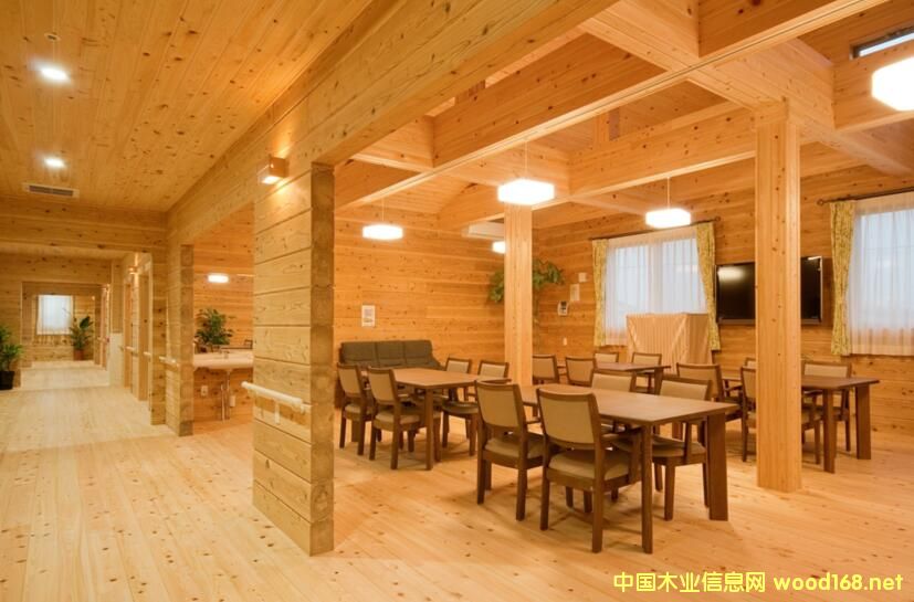 �ձ�ľ����Ʒ��ľ�ṹ�����״β�չ���ݽ�����