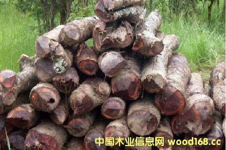 ޲ķ׷סݡ Ǻ󣬸Աǡޱֹ̽ԭľ