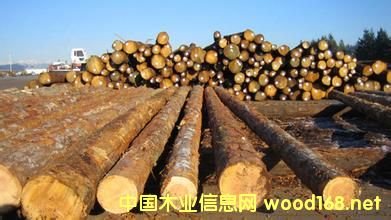 ������Ҷ�Ĳ�������������3%