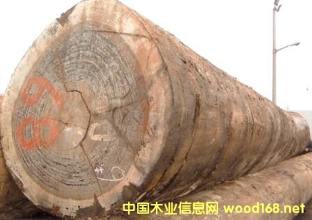 ����ľ��-������֬��