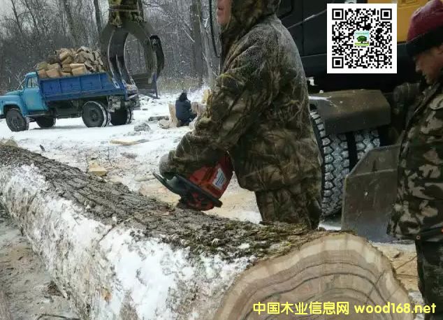 ������������ľҵʵʩ�߳�ȥս��