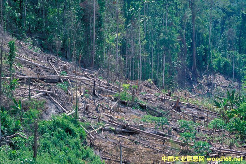 ũ֧֯ӡὫ䷢׷ݺϷŷľ