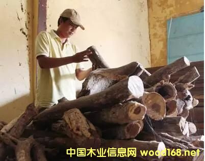 ʺľ۲죺Խ̴ľĽֳĿ