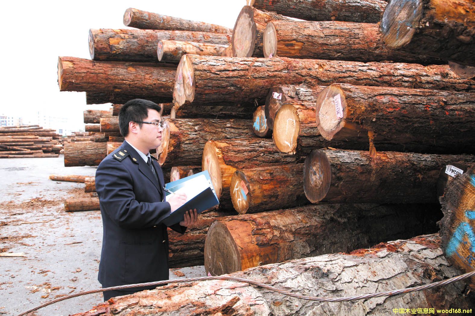 ����ڰ�1-2�·ݽ���ԭľ����