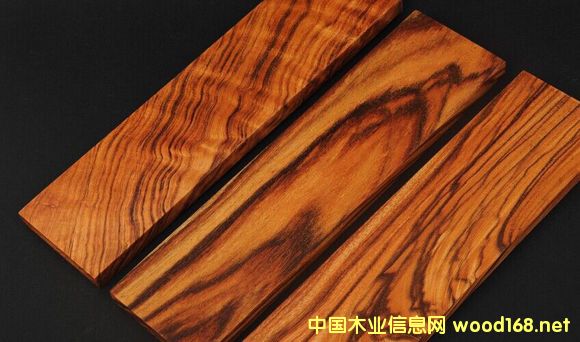 ��Ҷ�ƻ���