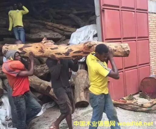 ޱѪ̴廨СҶ̴ ľгһƥ