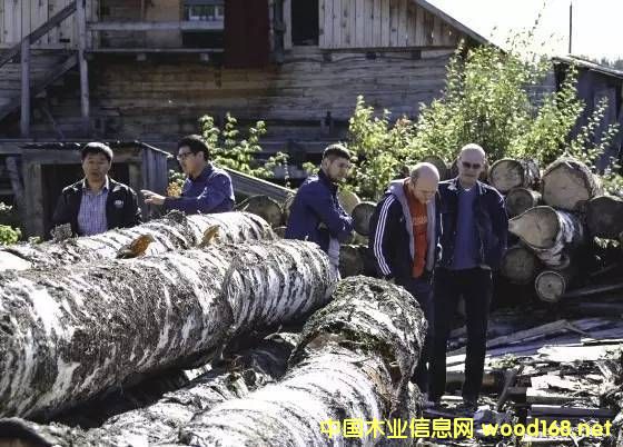 ����˹����ԭľ