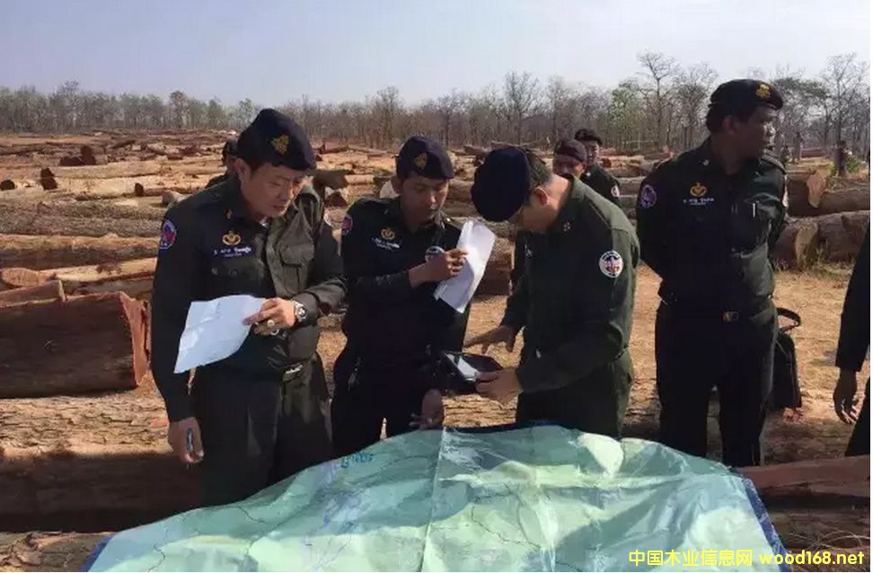 ����կ�������ʹ�˾����� ��������������ľ��