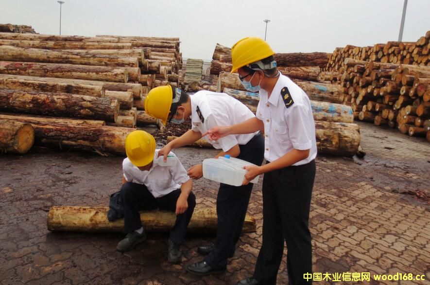 江苏常熟进口木材检尺市场开启“质量共治”新模式