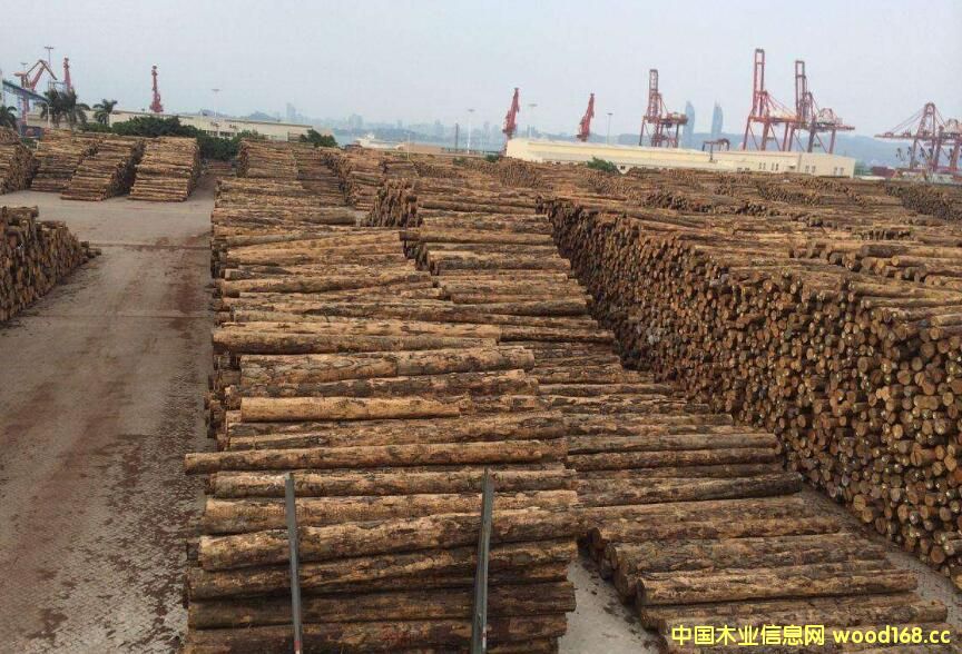 ������ԭľ�Ի�����ҵ���Ȼ���ֽ�ӭ���»���