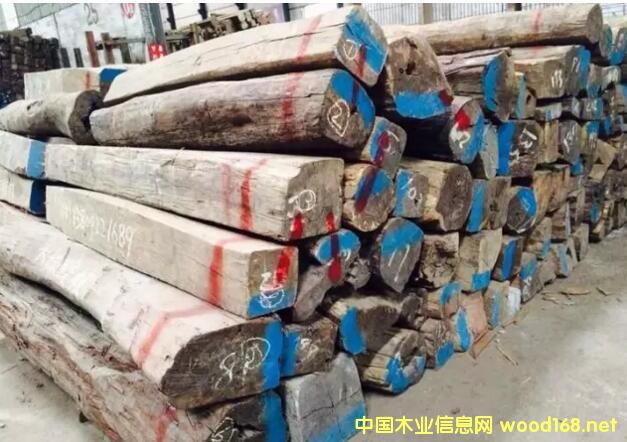 ľгȹ۲죺̴ֺδ֮·ںη