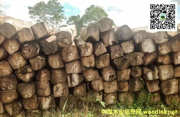 �������������̴����