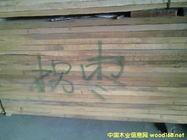 г۲죺鿨˿¡ľȫȱ