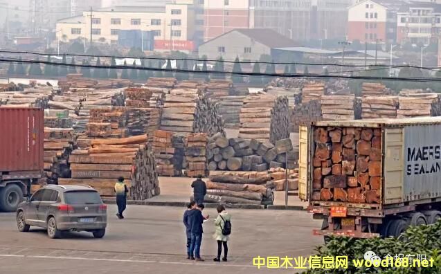 CITES¹ִ ľ ľгӭȥ