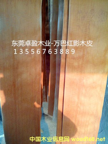 ӰľƤ10˿20˿30˿ϸ