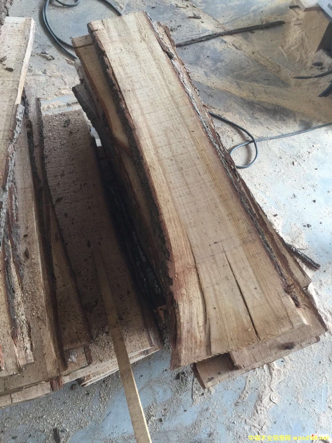 [��] �¹������ɰ��