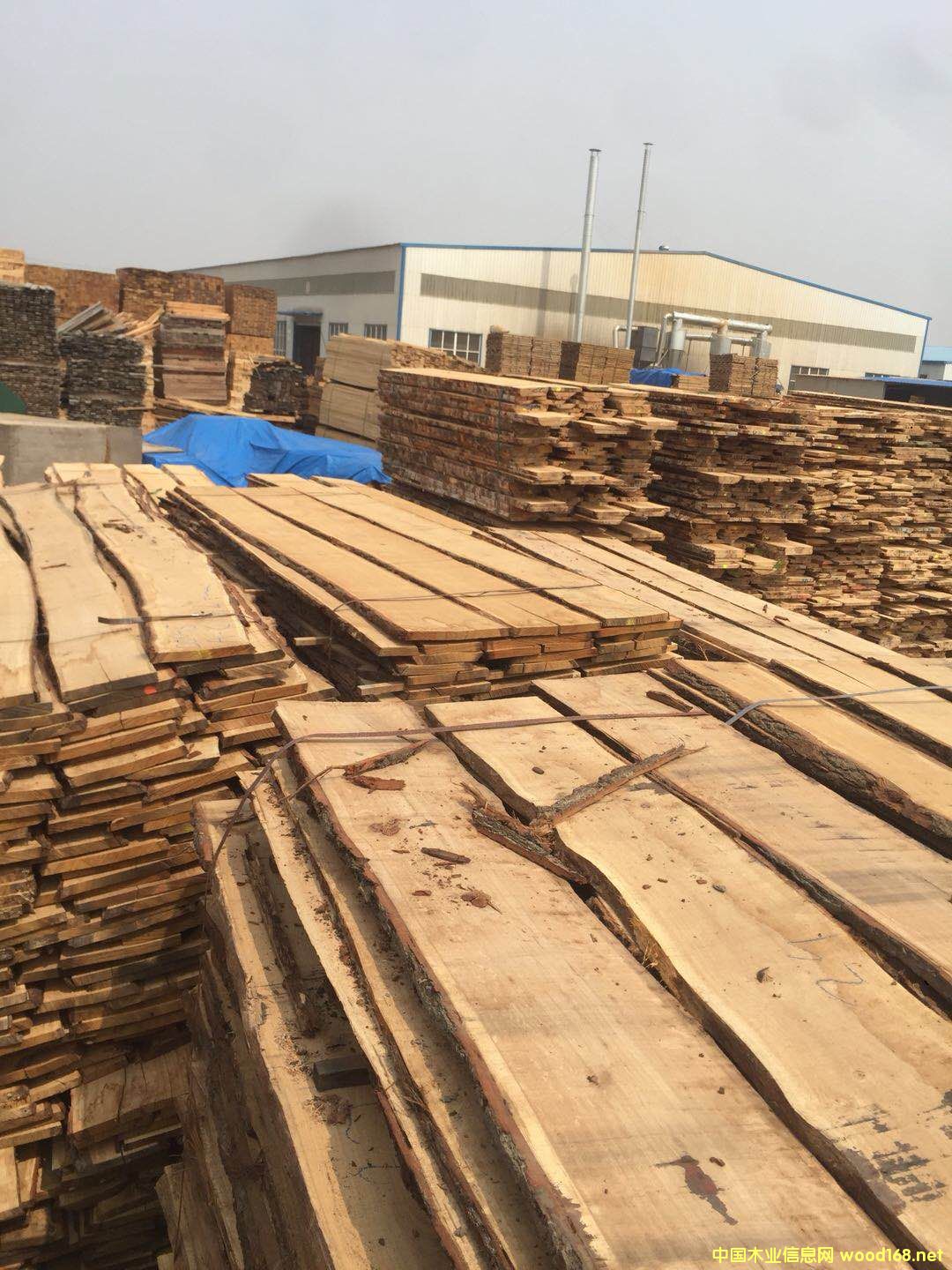 [��] �¹������ɰ��