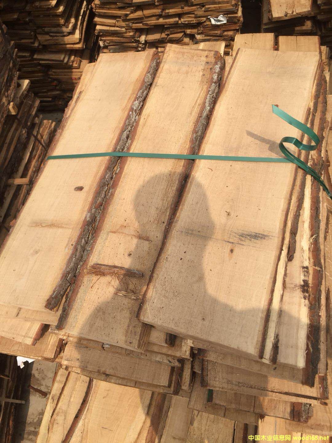 [��] �¹������ɰ��