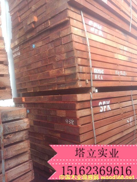 ǹɰ ¥ݷ Ҿ߲ĵذ ڲ