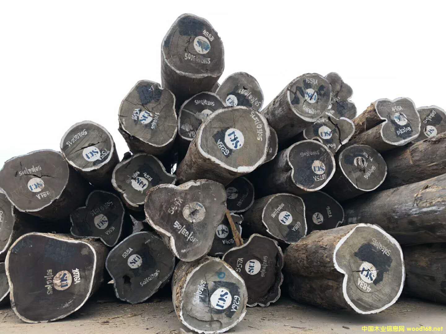 [] ޸չڼľԭľ ¶ľ