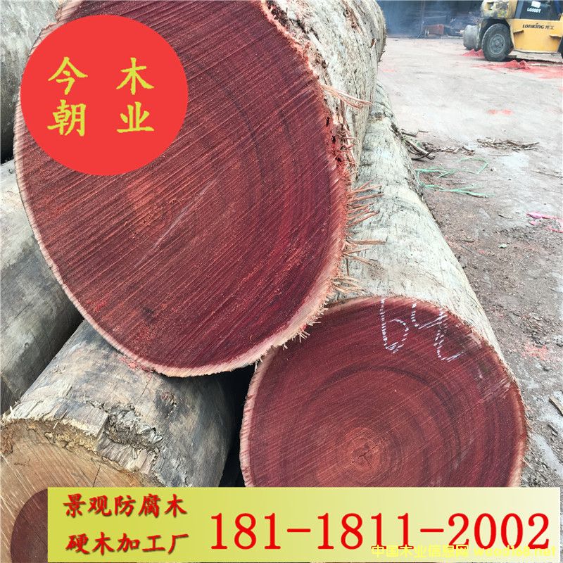 ľ԰־۷ľ̼ӹĻذľջͤ