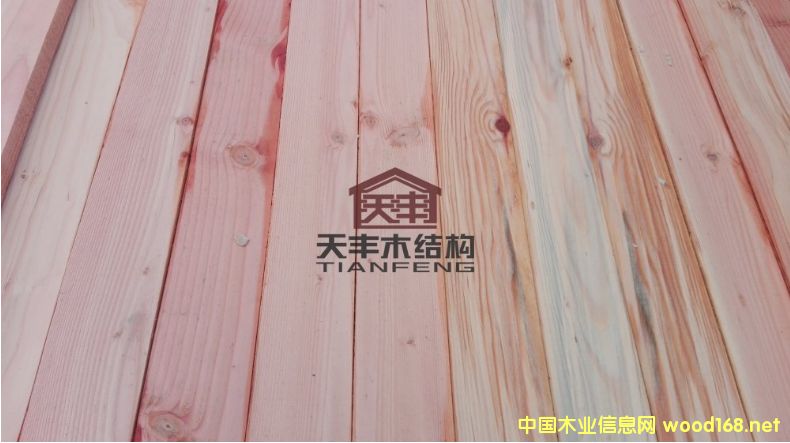 �Ϻ������ɳ��� ������ľ������