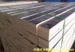 װô򶤵Ķ򽺺ϰľϸ