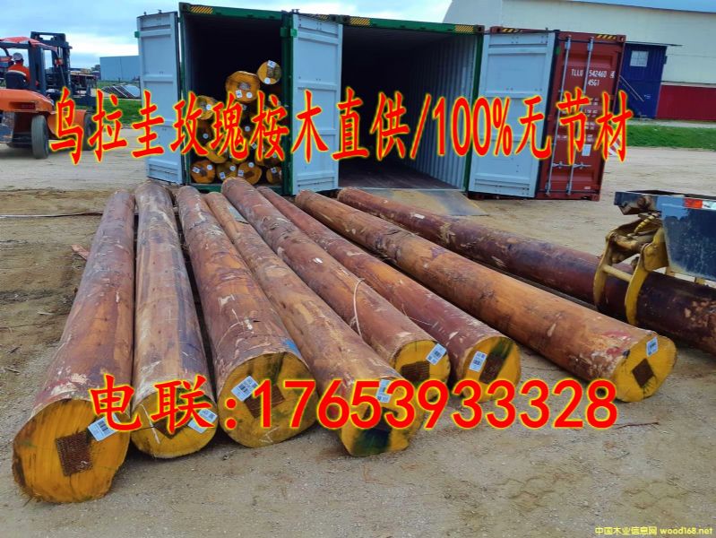 õľԭľ/100%޽ڲĵϸ