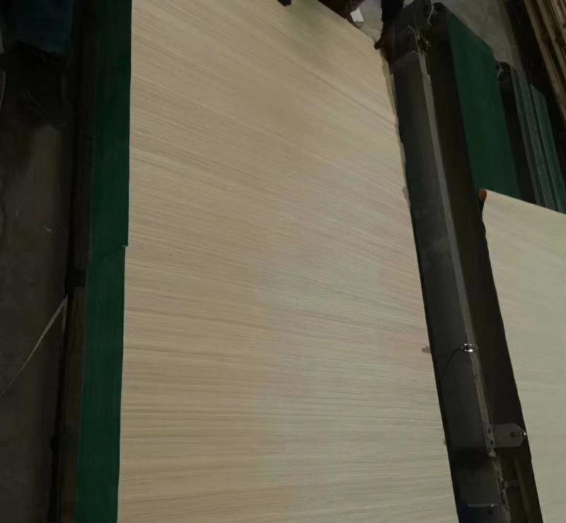 ӳͺƶάƼľƤ48߸ֹ