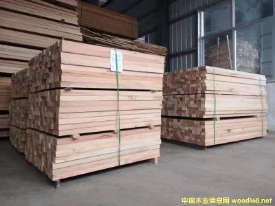 ֱ ʵľҾ߰ ʵľ Bľʵľľϸ