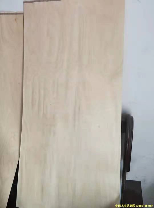 产品的详细介绍