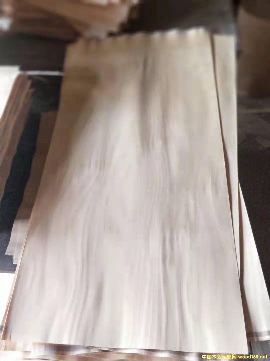 产品的详细介绍