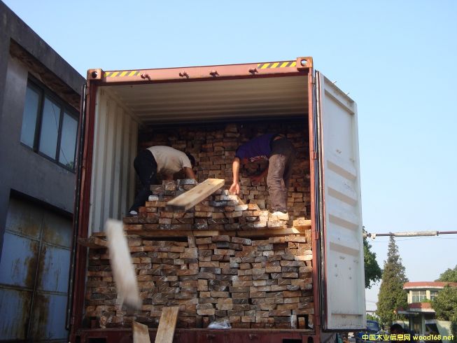 [] Ӧľģľalbizia falcata