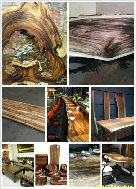 [] ڹӦڽϻACACIA ľ ľľ