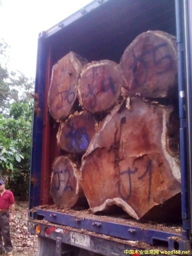 [] Ӧ˼ľACACIAľϻľ˼ľ