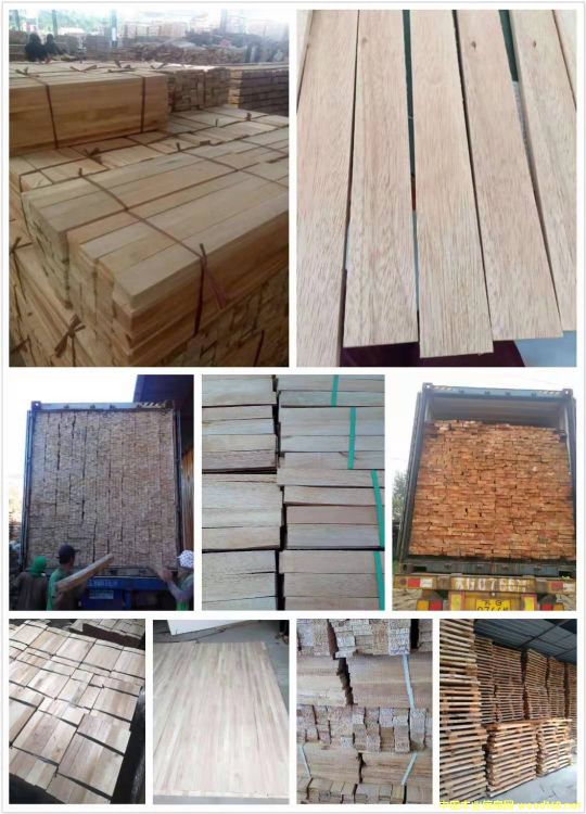 [] Ӧľģľalbizia falcata