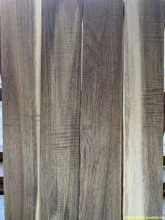 [] ڹӦҶ˼ľ˼ľģɱ˼ľ