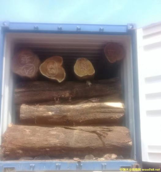 [] ڹӦҶ˼ľ ľACACIA