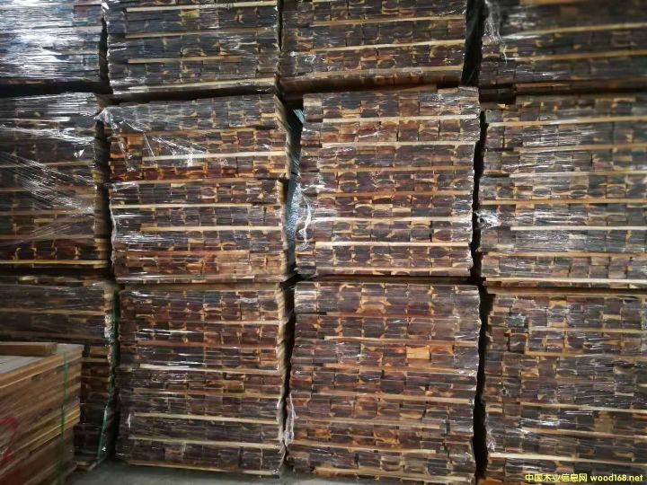 [] ڹӦҶ˼ľ˼ľģɱ˼ľ