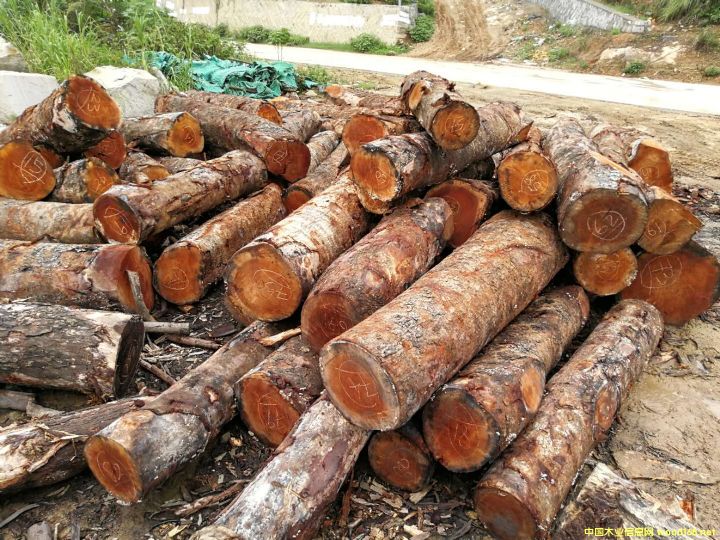 [] Ӧһоľһİģmahogany,Ҷһģһ