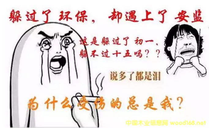 �����������ӭ������籩1