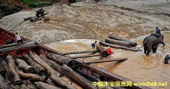 ľĳϿصĵ£βǷΪݣ