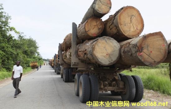 ����ľ����Ӱ:��ɳ�������¹��������޺컨�浽��ɽ�ͻ�