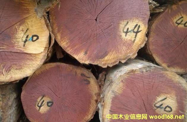 ľİٿƣ鶼˹һľͷɱһľ