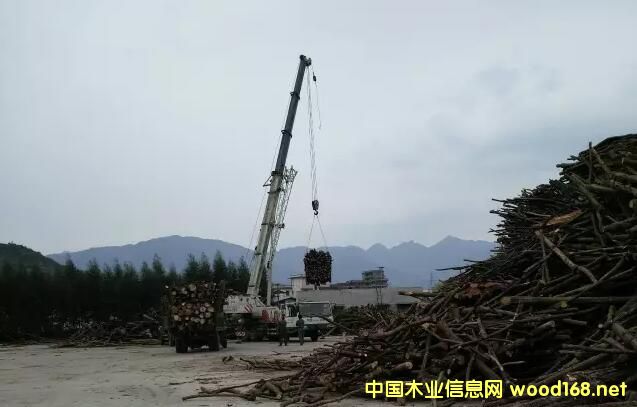 ������ҵѲ��֮---�����߽�������ľҵ